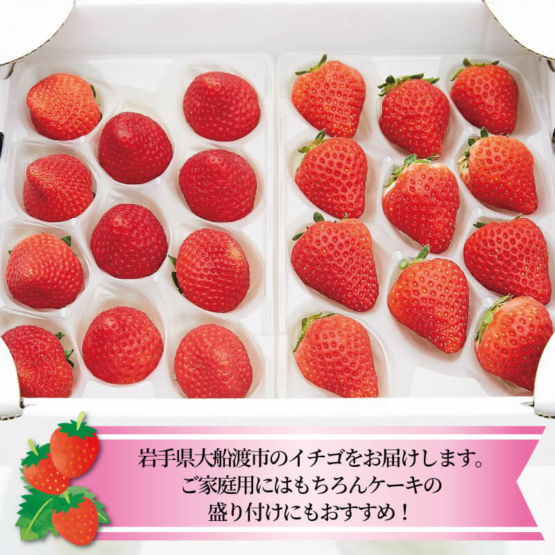 【ふるさと納税】 いちご 2種 400g ( 200g × 2 ) 6~12月お届け フルーツ 果物 苺 イチゴ なつあかり 信大BS8-9 夏のしずく 夏の輝 すずあかね リアスター夏苺 夏いちご 三陸産 大船渡 国産 10000円 1万円 2