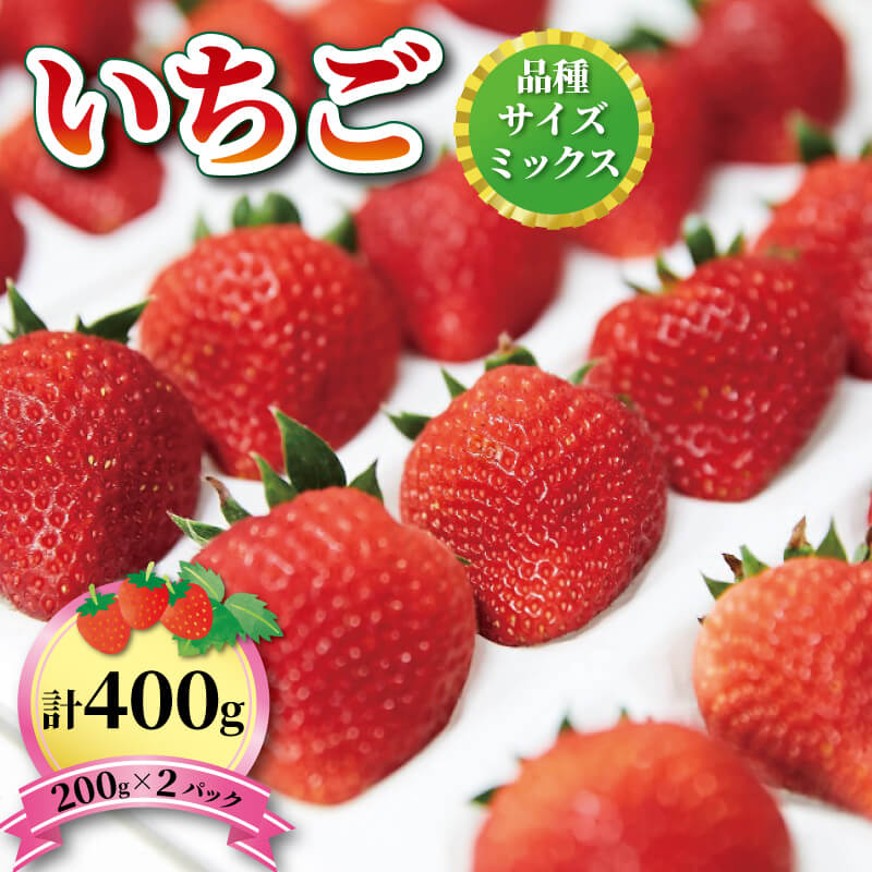 いちご 2種 400g (200g×2)1~5月お届け フルーツ 果物 苺 イチゴ