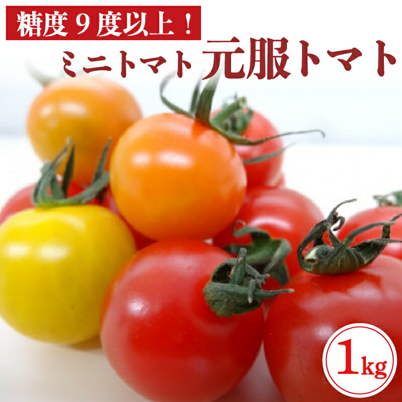 【ふるさと納税】 トマト フルーツトマト 1kg ミニトマト