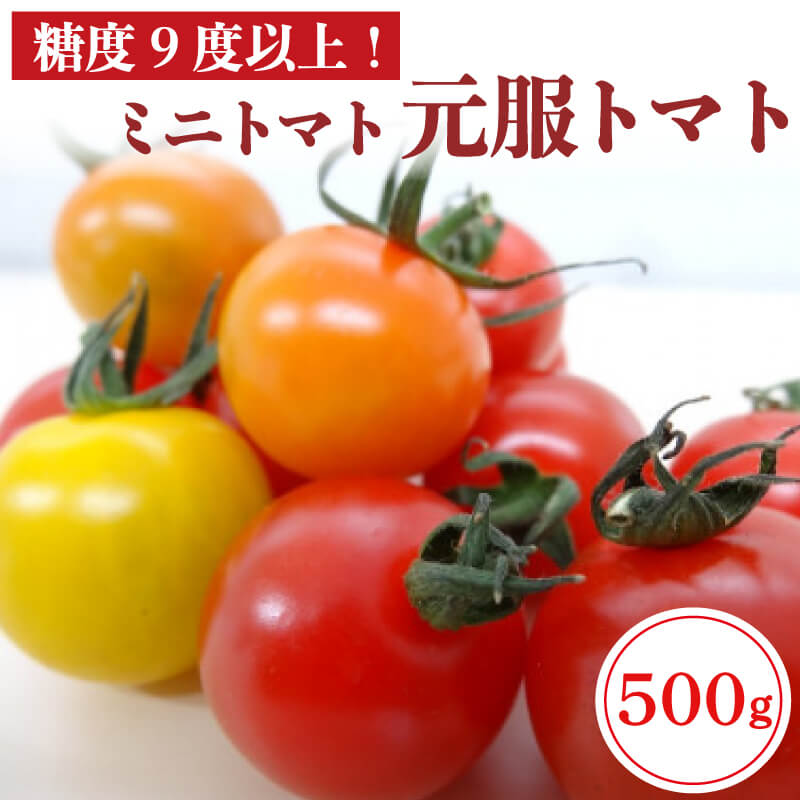 【ふるさと納税】 トマト フルーツトマト 500g ミニトマト 糖度9度以上 赤崎元服トマト 健康 美容 直売 野菜 サラダ