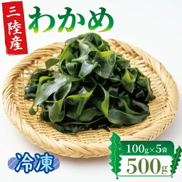 【ふるさと納税】 塩蔵わかめ 500g 100g×5袋 冷凍 塩蔵わかめ 小分け 冷蔵 ワカメ 海藻 小分け 刺身 刺し身 お刺身 お刺し身 三陸 岩手三陸産 6000円