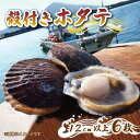 【ふるさと納税】 活帆立 ホタテ 6枚 12cm以上 冷蔵 