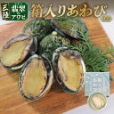 【ふるさと納税】 3年 箱入りあわび 2個セット 白ワイン煮風 缶詰 鮑 アワビ 翡翠鮑 箱入り 国産 海鮮 養殖 缶詰 保存食 防災 非常食 常温 常温保存 ...
