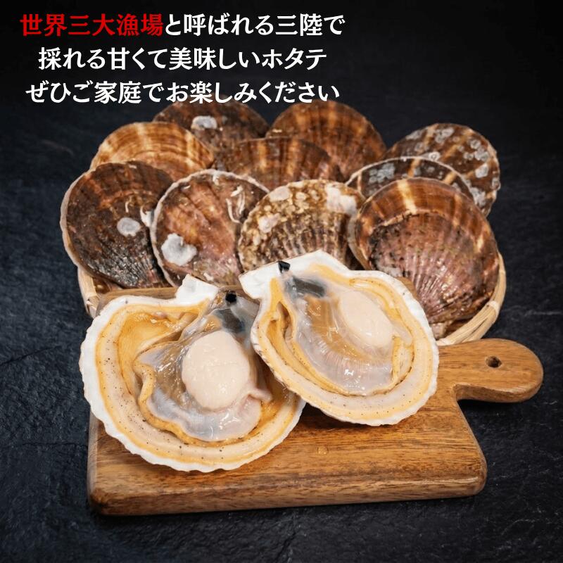 【ふるさと納税】 活ホタテ 10枚 (12cm~13cm) 軍手 ヘラ付き ほたて 刺身 おさしみ 刺し身 鍋 お鍋 バーベキュー BBQ 炙り 炙り焼き バター焼き 出汁 夕飯 おかず おつまみ 晩酌 海産物 海鮮 魚介 魚介類 大船渡 三陸 岩手県 国産