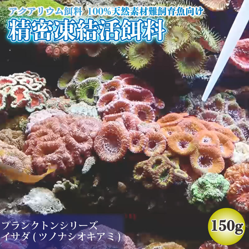  精密凍結活餌料 イサダ(ツノナシオキアミ)150g (50g×3) 難飼育魚向け餌料 観賞魚 熱帯魚 1万円 10000円