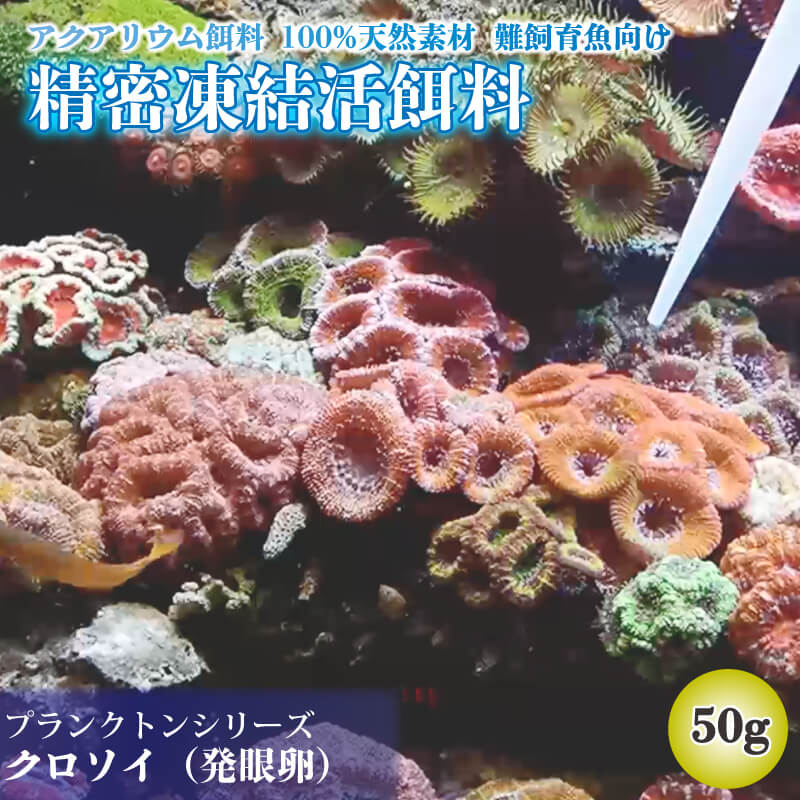 【ふるさと納税】 精密凍結活餌料 クロソイ 発眼卵 50g 5g 5個 2袋 難飼育魚向け餌料 観賞魚 熱帯魚 1万円 10000円