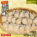 【ふるさと納税】 訳あり 生牡蠣 むき身 選べる 1kg 500g 容量 (加熱用) 牡蠣 剥き牡蠣 むき牡蠣 魚貝類 生かき カキ 牡蠣 むき身牡蠣 冷蔵 加熱用 牡蠣フライ 牡蠣飯 鍋 訳アリ 数量限定 期間限定 先行予約 10000円 1万円 20000円 2万円 三陸産 岩手県 大船渡市