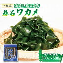 【ふるさと納税】 おさしみワカメ 碁石ワカメ 小分け 選べる 300g~600g わかめ 塩蔵わかめ 湯通し塩蔵若布 三陸 味噌汁 刺し身 刺身 海藻 サラダ 本多商店 岩手県 大船渡市