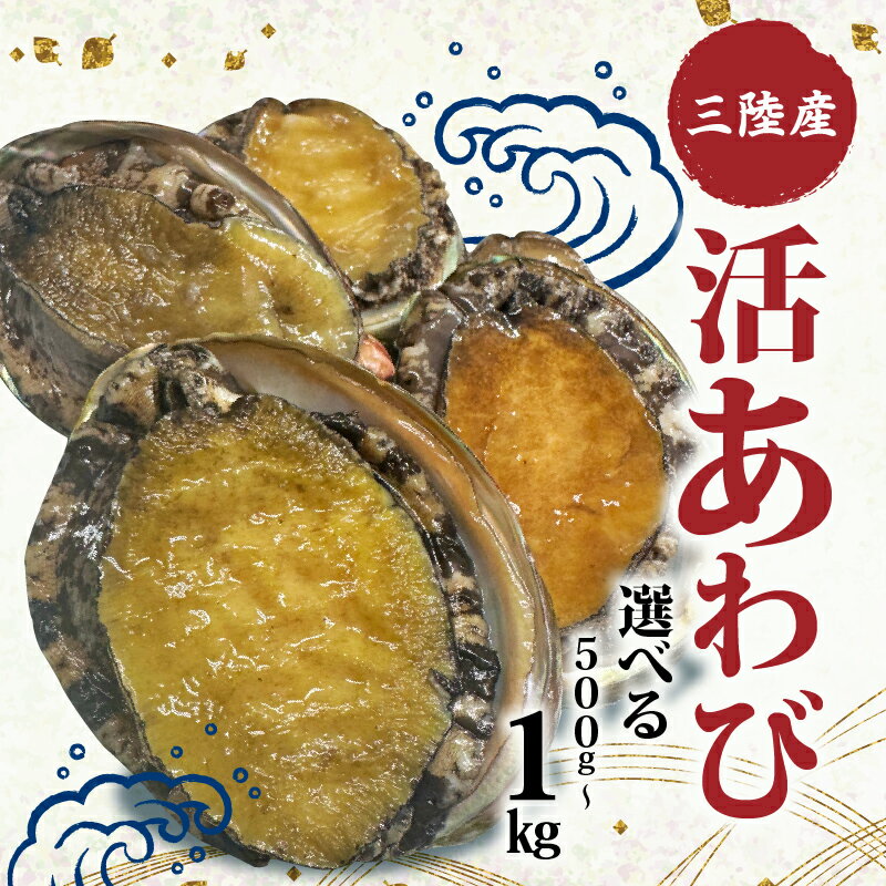 活あわび 選べる 500g 1kg 鮑 あわび アワビ 蝦夷あわび 活あわび 冷蔵 Abalone ステーキ バターソテー 刺し身 刺身 おせち バーベキュー BBQ ごはん おつまみ 晩酌 米 丼 海産物 海鮮 魚介 魚介類 贈答品 正月 お正月 お中元 お歳暮 三陸 岩手県 大船渡市
