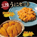 【ふるさと納税】 焼うに40g 甘口塩うに40g セット 雲丹 寿司 焼き雲丹 寿司 汐うに 潮うに 海鮮 魚貝類 魚介類 ムラサキウニ 三陸 岩手 大船渡市