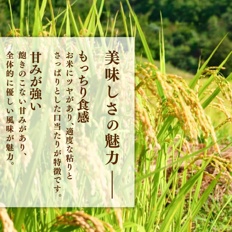 【ふるさと納税】 新米 令和7年度 ひとめぼれ 選べる 5kg 10kg 20kg 30kg 精米 岩手県産 米 白米 はくまい コメ rice ごはん 常温 常温保存 保存 農家 農作物 栄養 夕飯 大船渡 三陸 岩手県 国産