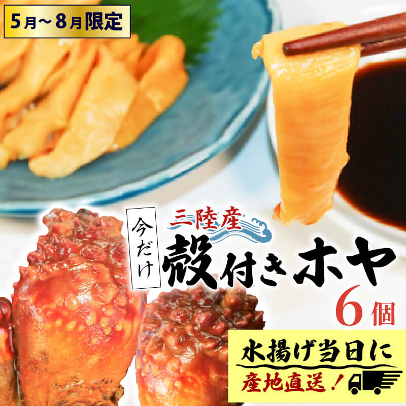 期間限定 殻付きホヤ6個 ほや ホヤ Hoya 串焼き フライ ごはん 夕飯 おかず おつまみ 晩酌 海産物 海鮮 魚介 魚介類 大船渡 三陸 岩手県 国産