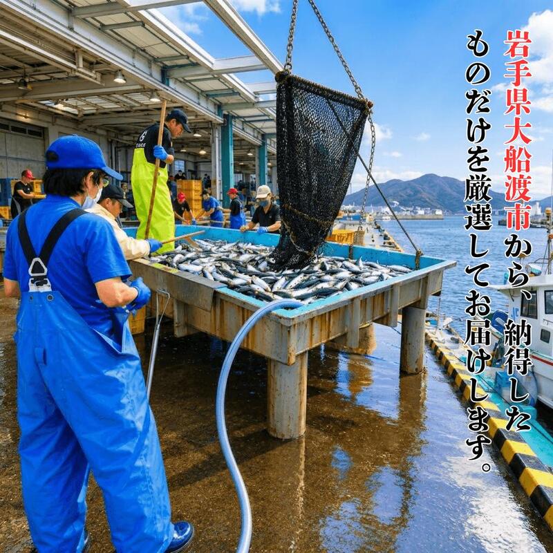 【ふるさと納税】 三陸の鮮魚便 1人~3人用 冷蔵 魚種お任せ 水揚げ 海鮮 魚介 産地直送 新鮮 天然 魚 詰め合わせ 下処理 鮮魚便 鮮魚セット 三陸産 国産 海鮮 旬 岩手県 大船渡市 f032034-ofunato-10001384 岩手県大船渡市 サンプル画像2