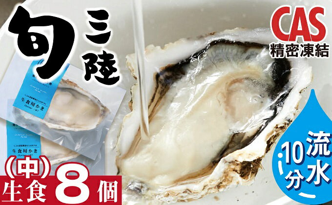 【ふるさと納税】三陸産 生食用真カキ(中)8個 ハーフシェル・CAS凍結　【魚介類・貝・魚貝類・加工食品・惣菜・牡蠣・かき・カキ・生食用】
