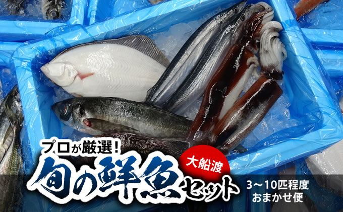【ふるさと納税】三陸 大船渡 旬の鮮魚便！！　【魚介類・魚貝類・加工食品・鮮魚】