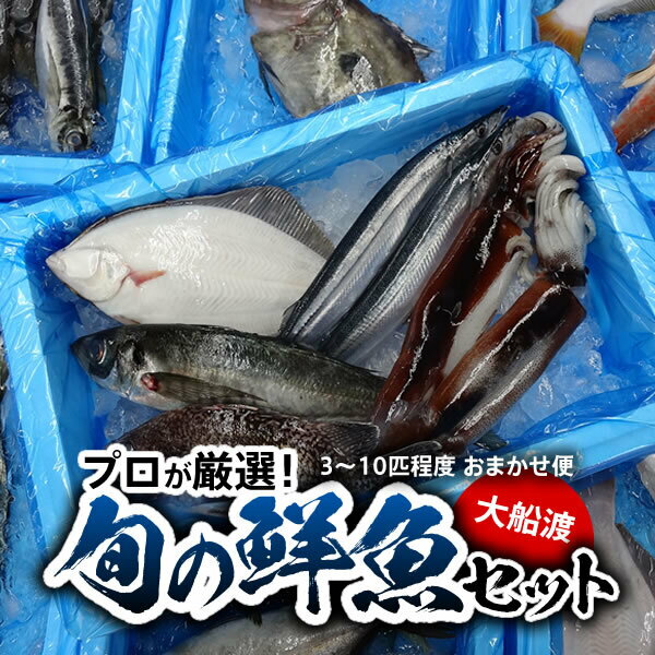 【ふるさと納税】三陸 大船渡 旬の鮮魚便！！　【魚介類・魚貝類・加工食品・鮮魚】