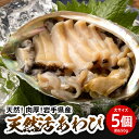 【ふるさと納税】岩手県産　大サイズ 天然活あわび5個（約650g）【三陸産・蝦夷あわび】　【魚介類・あわび・アワビ・鮑・蝦夷あわび】