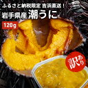 【ふるさと納税】吉浜直送！岩手県産【訳あり】潮うに 120g【甘口・粒うに：塩うに含有率100％】　【 海鮮 海の幸 国産 日本産 濃厚 産地直送 晩酌 つまみ あて 肴 無添加 うに丼 手巻き 寿司 具材 】