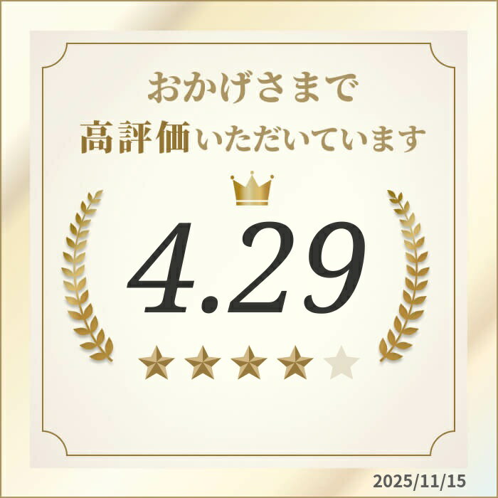 【ふるさと納税】 いか 一夜干し 大 6尾 いか イカ 烏賊 squid バーベキュー BBQ 炙り 炙り焼き 夕飯 おかず おつまみ 晩酌 海産物 海鮮 魚介 魚介類 大船渡 三陸 岩手県 国産