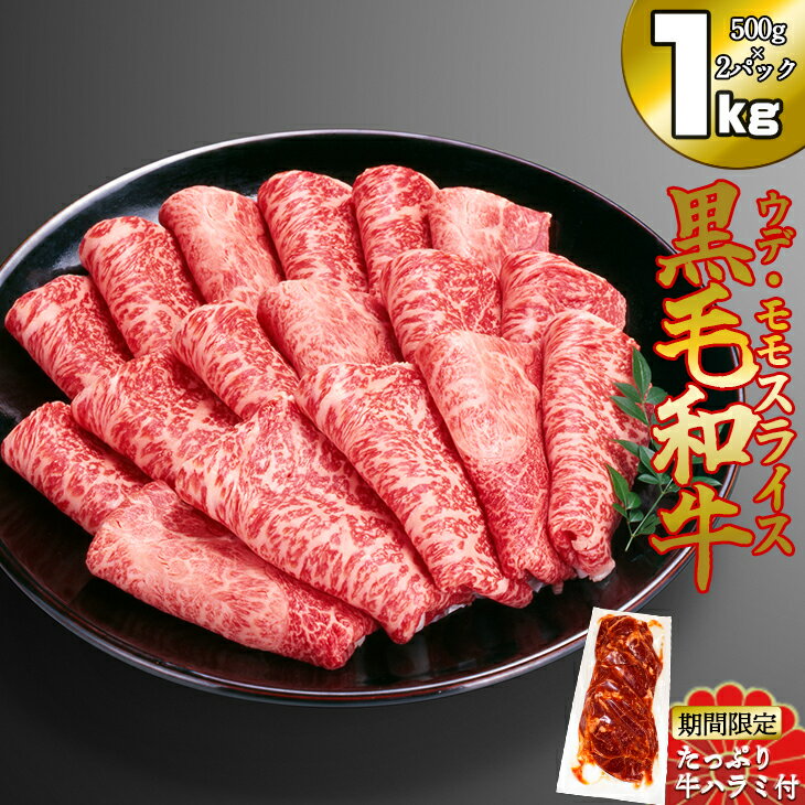 9750円 【73%OFF!】 ふるさと納税 曽於市 鹿児島県産黒毛和牛 黒豚 9750円 【73%OFF!】 ふるさと納税 曽於市 鹿児島県産黒毛和牛 黒豚