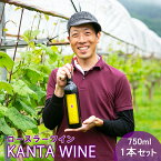 【ふるさと納税】ロースラー ワイン KANTA WINE 750ml×1本 かんたわいん かんたはうす 赤ワイン 花巻市 大迫 地域おこし協力隊