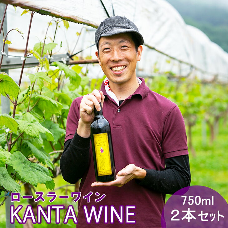 ロースラー ワイン KANTA WINE 750ml×2本セット かんたわいん かんたはうす 赤ワイン 花巻市 大迫 地域おこし協力隊