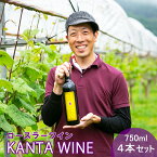 【ふるさと納税】ロースラー ワイン KANTA WINE 750ml×4本セット かんたわいん かんたはうす 赤ワイン 花巻市 大迫 地域おこし協力隊