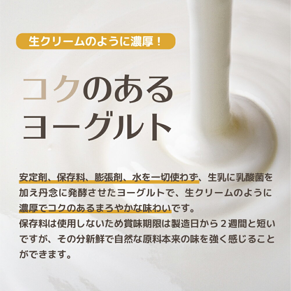 【ふるさと納税】《定期便6ヶ月》岩手早池峰 のむ ヨーグルト 720ml×3本セット ギフト 生きた乳酸菌 免疫力 アップ 保存料不使用