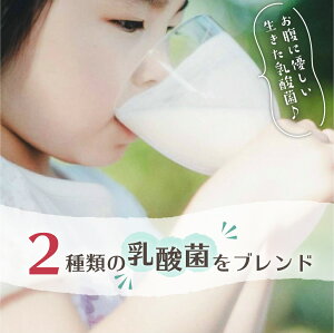 【ふるさと納税】岩手早池峰 のむ ヨーグルト 720ml×3本セット ギフト 生きた乳酸菌 免疫力 アップ 保存料不使用 父の日 母の日 ギフト お中元 お歳暮