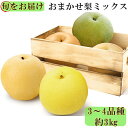 【ふるさと納税】《先行予約》【旬をお届け】おまかせ梨ミックス3~4品種(約3kg) 本宿果樹園
