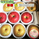 【ふるさと納税】《先行予約》【旬をお届け】林檎・梨詰め合わせ!花巻産約3kg