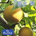 【ふるさと納税】《先行予約》【秀品】瑞々しい採れたて梨!豊水 花巻産 約3kg