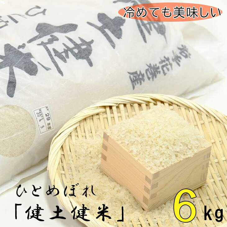 岩手花巻産「健土健米」ひとめぼれ6kg 令和4年産 新米 お米