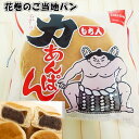 【ふるさと納税】力あんぱん もち 入り パン 10個入 オリオンベーカリー ぱん セット 餅 粒あん あんこ 常温 保管 個包装 買い置き 備蓄 常備 非常食 保存食 長持ち 日持ち 朝食 おやつ