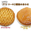 【ふるさと納税】タカハシ菓子工房 ケーキ2種詰合せ(アップルパイ、ベイクドチーズケーキ)