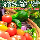 【ふるさと納税】花巻産 旬野菜セット5〜7種「賢治の豊作」 新鮮 野菜 くだもの 詰め合わせ