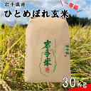 【ふるさと納税】≪令和7年産≫花巻産 ひとめぼれ 一等級 玄米 30kg 岩手県 花巻産 2025年産