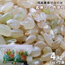 【ふるさと納税】2023年産 玄米ひとめぼれ 「残留農薬0の米?」 4kg（2kg×2袋）お米