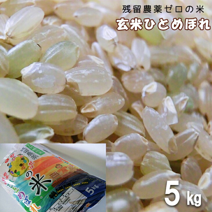 玄米ひとめぼれ5kg 農薬アレルギーの方でも安心!「残留農薬0の米@」 令和5年産