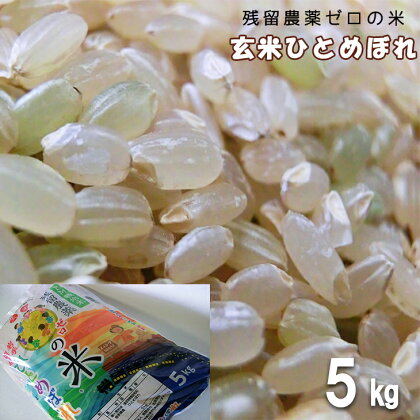 玄米ひとめぼれ5kg 農薬アレルギーの方でも安心！「残留農薬0の米＠」 令和5年産