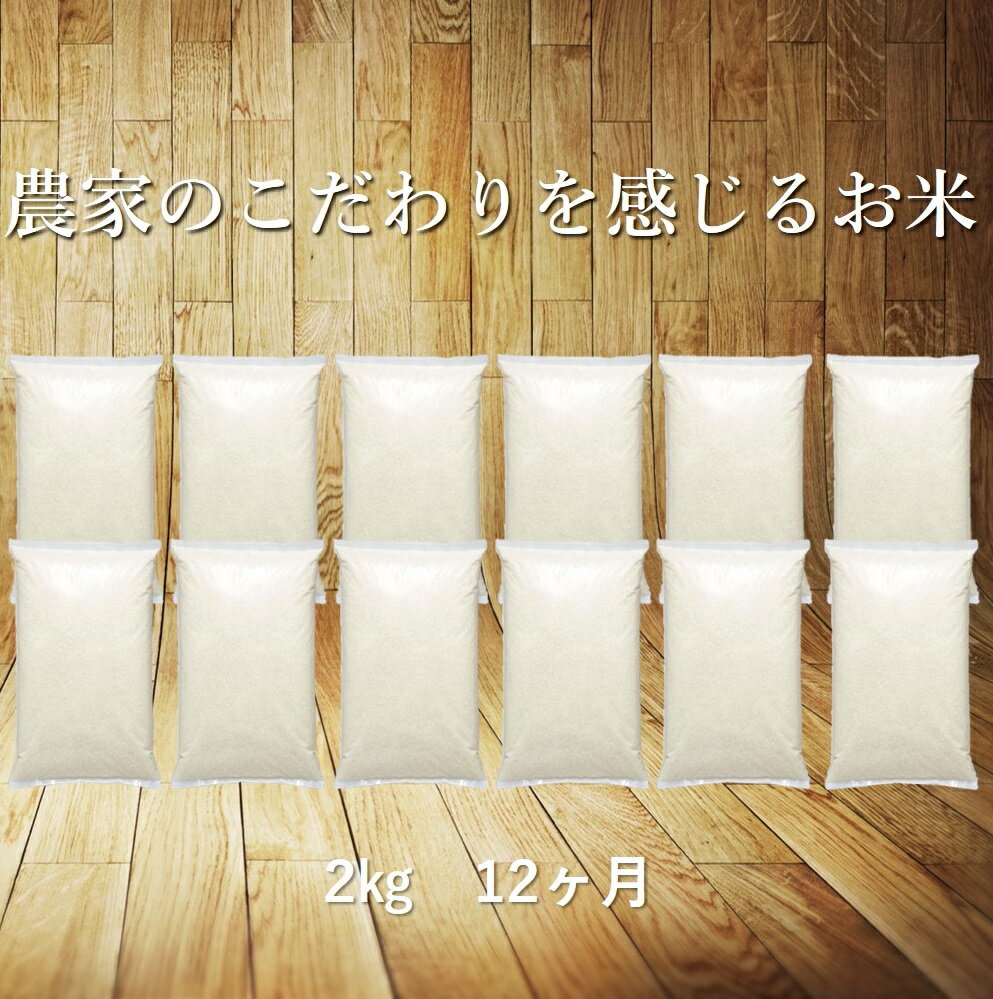 1位! 口コミ数「0件」評価「0」定期便 12ヶ月 令和4年産 ひとめぼれ 白米 2kg 【送料無料】 ふるさと納税 米 定期便 ギフト 寄附者専用オリジナル袋 毎月