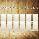 【ふるさと納税】定期便 12ヶ月 令和4年産 ひとめぼれ 白