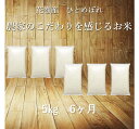 人気ランキング第27位「岩手県花巻市」口コミ数「0件」評価「0」定期便 6ヶ月 ひとめぼれ 5kg 白米 岩手県産 【送料無料】 ギフト 寄附者専用オリジナル袋 名入れ ふるさと納税 米 定期便