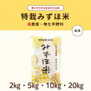【ふるさと納税】〈令和7年産〉特別栽培みずほ米 ササニシキ 白米 ≪選べる内容量 2kg 5kg 10kg 20kg≫ 特栽 お米