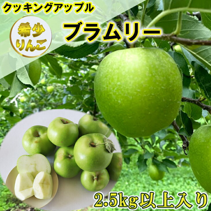 【ふるさと納税】クッキングアップル 希少りんご ブラムリー 2.5kg以上 ふるさと納税 りんごのサムネイル