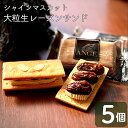 【ふるさと納税】プレミアム大粒生レーズンサンド (シャインマスカット) お菓子 スイーツ クッキー 冷凍発送 バターサンド ぶどう クッキー 新着 バレンタイン...