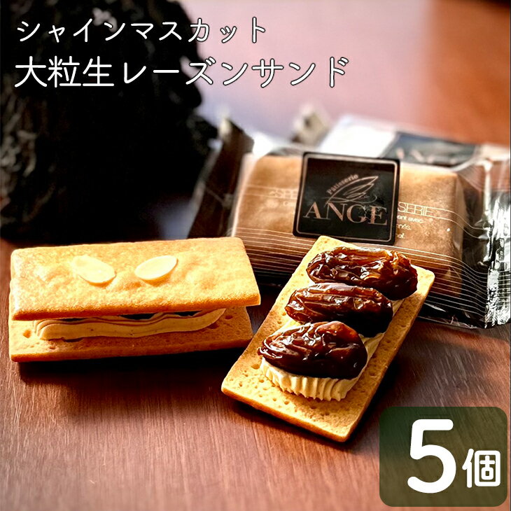 ڤդ뤵Ǽǡۥץߥγ졼󥵥ɡʥ㥤ޥåȡˤۻҥĿ