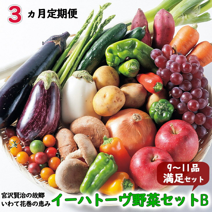 5位! 口コミ数「1件」評価「4」《定期便3ヶ月》 イーハトーヴ野菜B 満足セット 3回(9～11品) ふるさと納税 野菜 定期便 詰め合わせ 旬 冷蔵