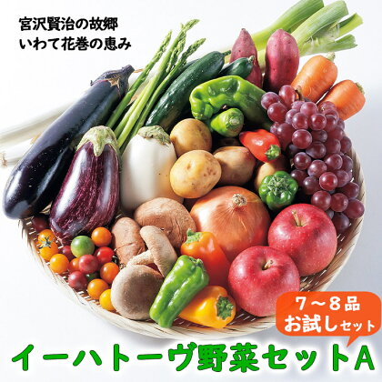 いわて花巻産 イーハトーヴ野菜A お試しセット (7～8品) 旬 野菜 果物 お楽しみ 詰め合わせ