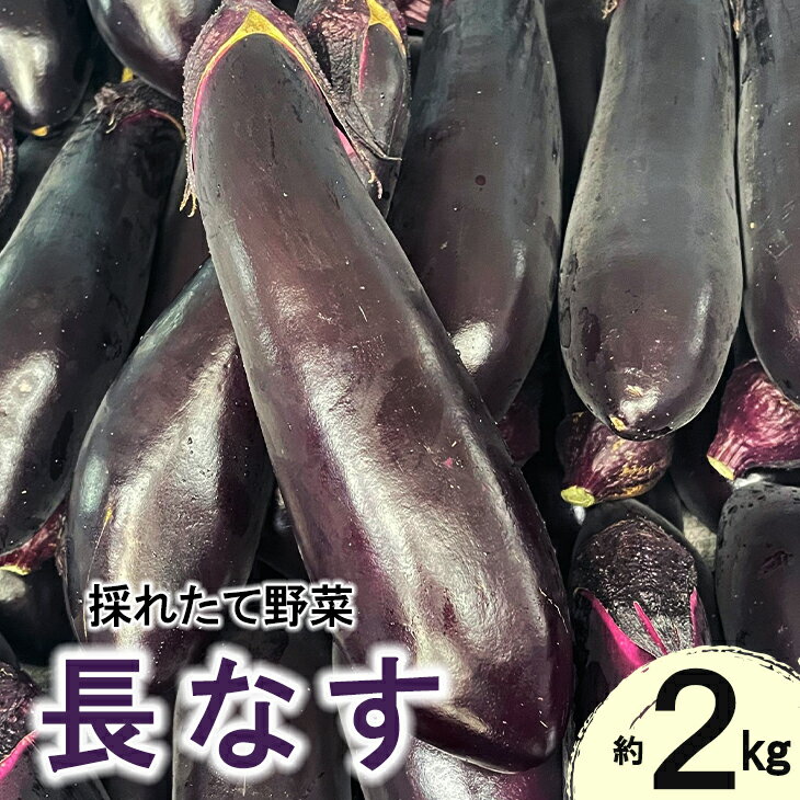 ڤդ뤵ǼǡĹػ  ͤ碌 2kg å ͽա7ȯͽ ʤ ʥ